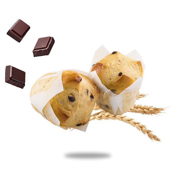 4_brioch_muffins_pepites_chocolat_hover