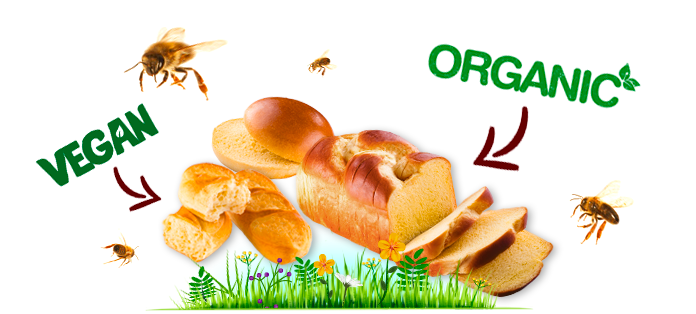 organic-vegan-products