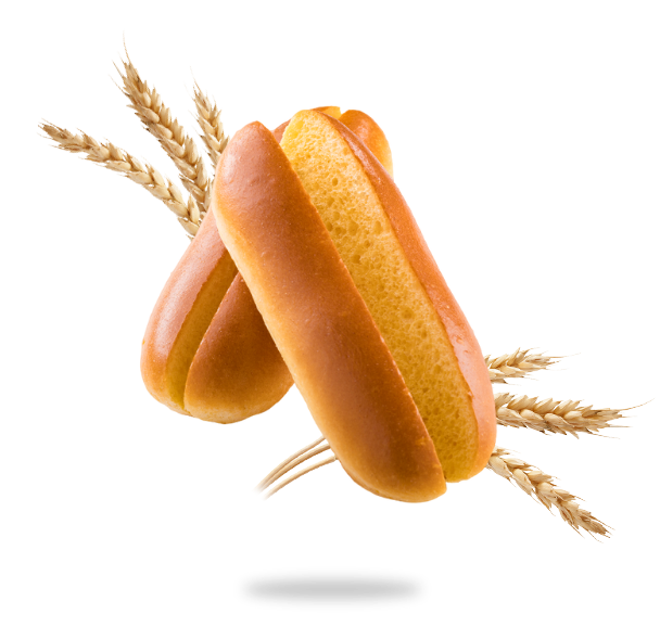brioche hot dog vegan