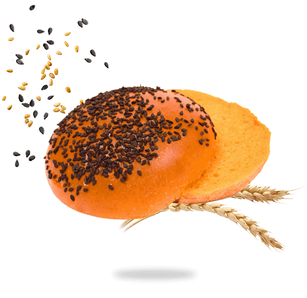 survol brioch burger spicy barbecue