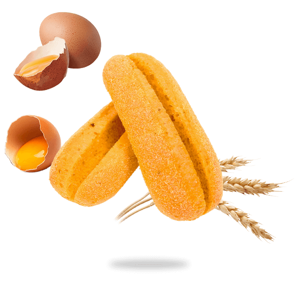 survol brioch hot dogs mexicaine
