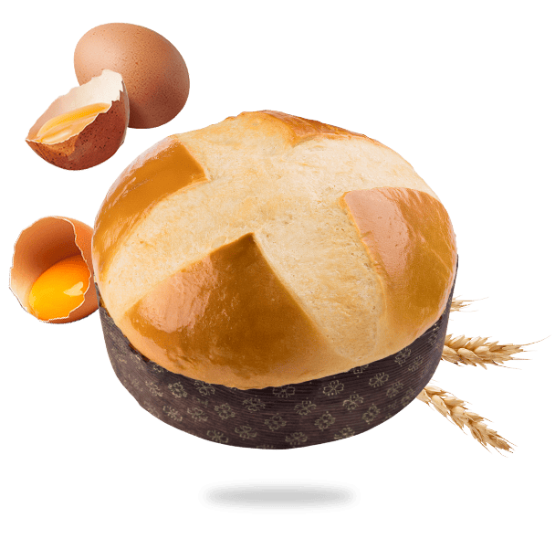 gache de noel survol