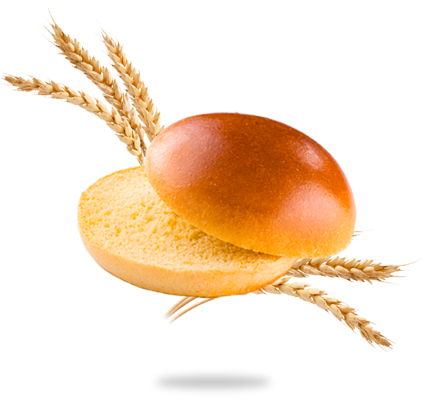 Brioche Burger buns